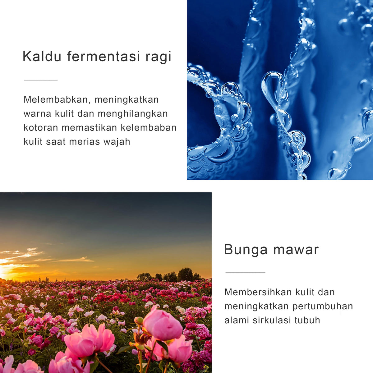 Warm Enzym Cleansing Water